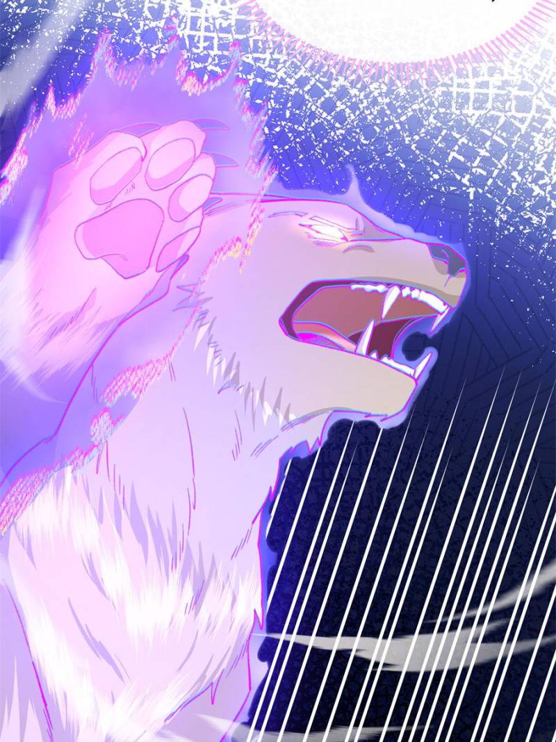 81494800 800 1067 134750